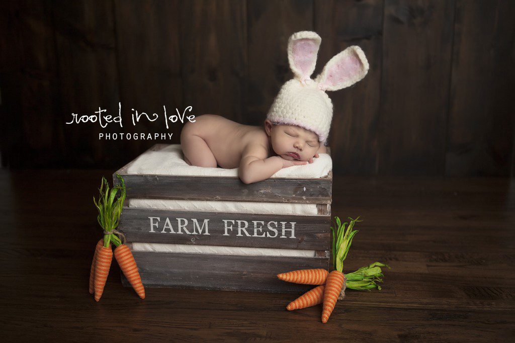 Fort worth newborn photographer