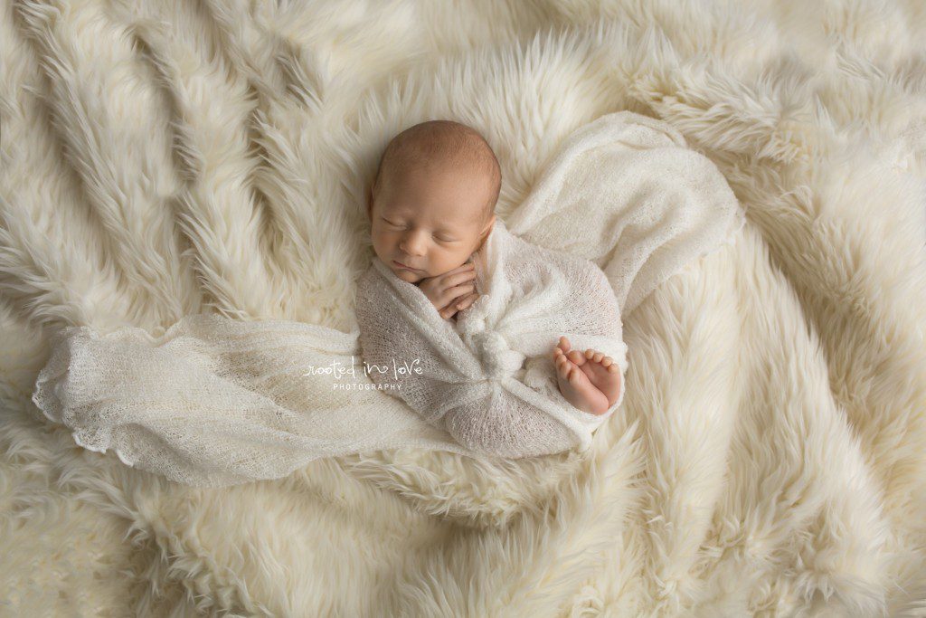 Fort Worth newborn session 