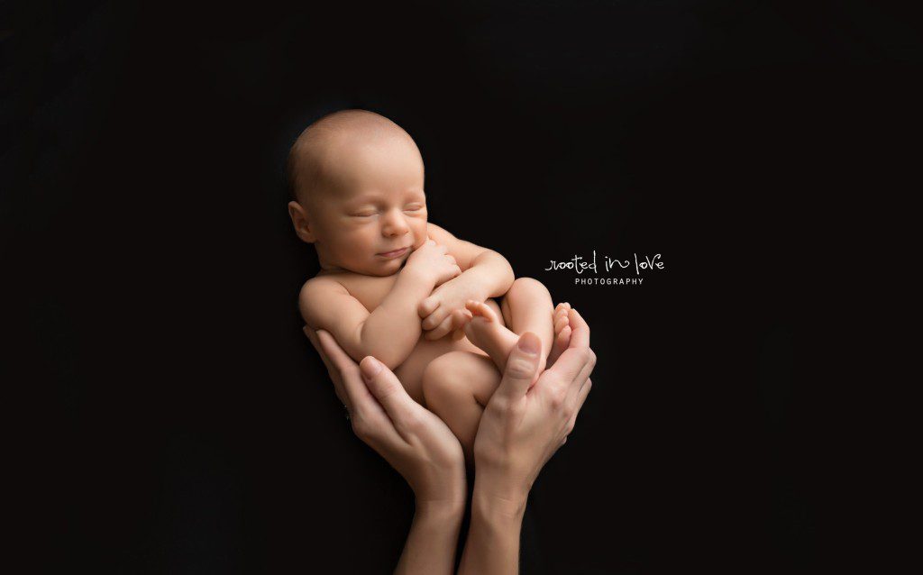 Baby Pierce's newborn session