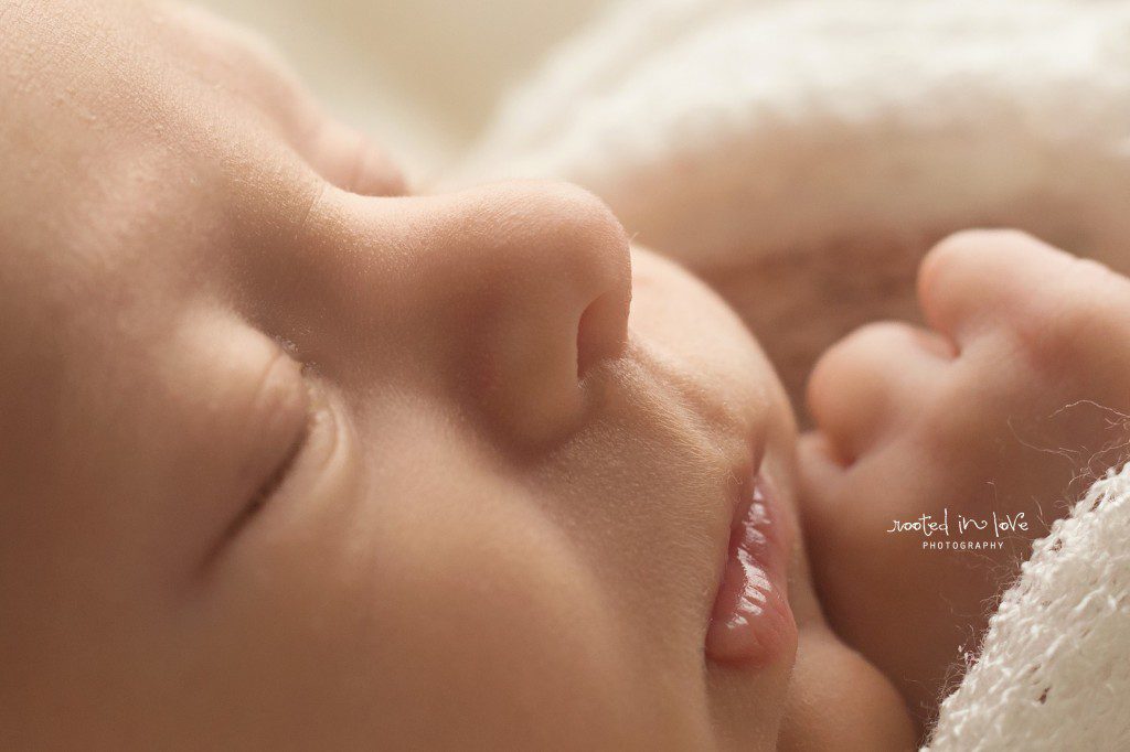 Fort Worth newborn session 