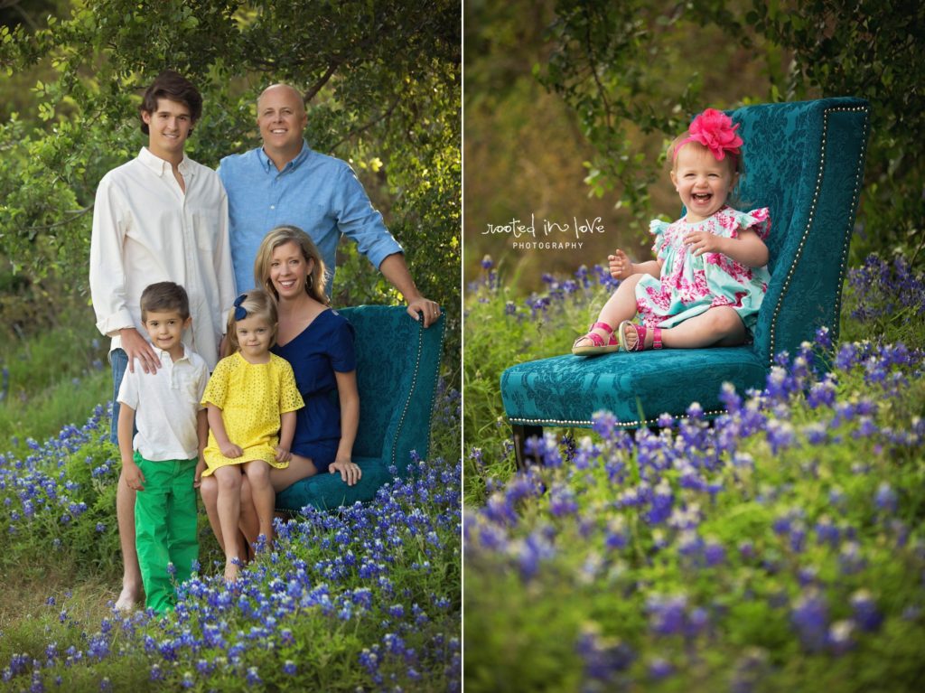 Bluebonnet mini sessions