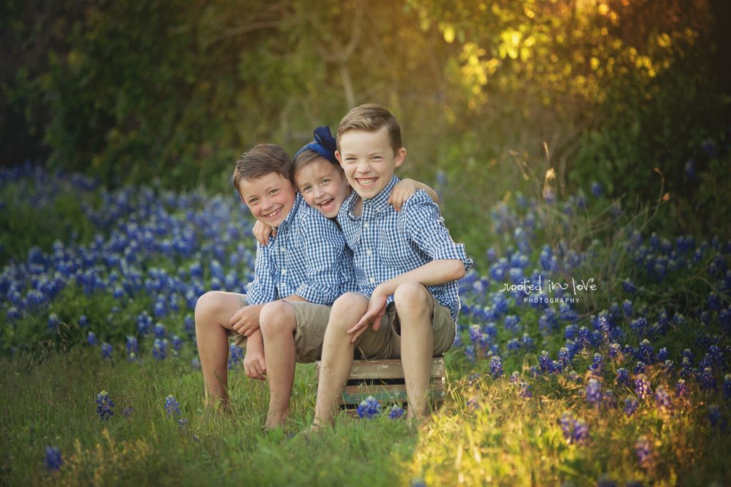 Bluebonnet mini sessions