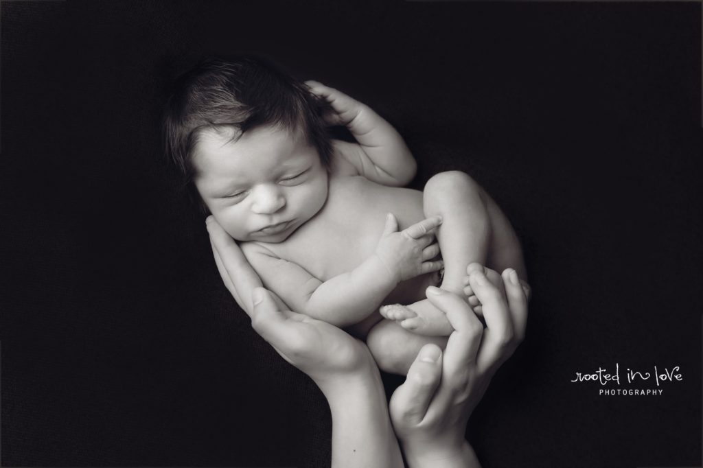 newborn session